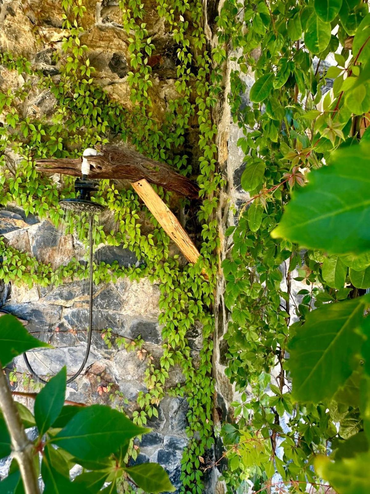 Casa Jasmin Bed & Breakfast Troncones Zewnętrze zdjęcie